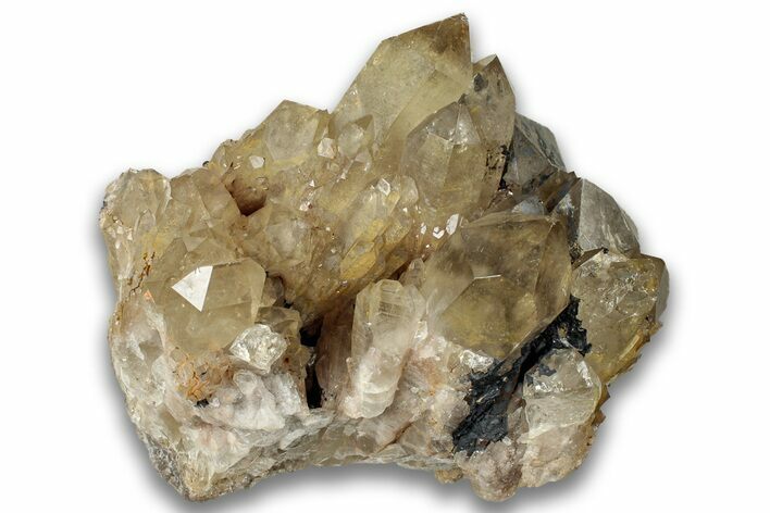 Smoky Citrine Crystal Cluster - Luena, DR Congo #324396